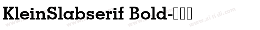 KleinSlabserif Bold字体转换
